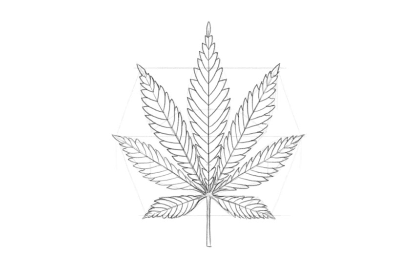 Как нарисовать лист марихуаны конопля на улице растет