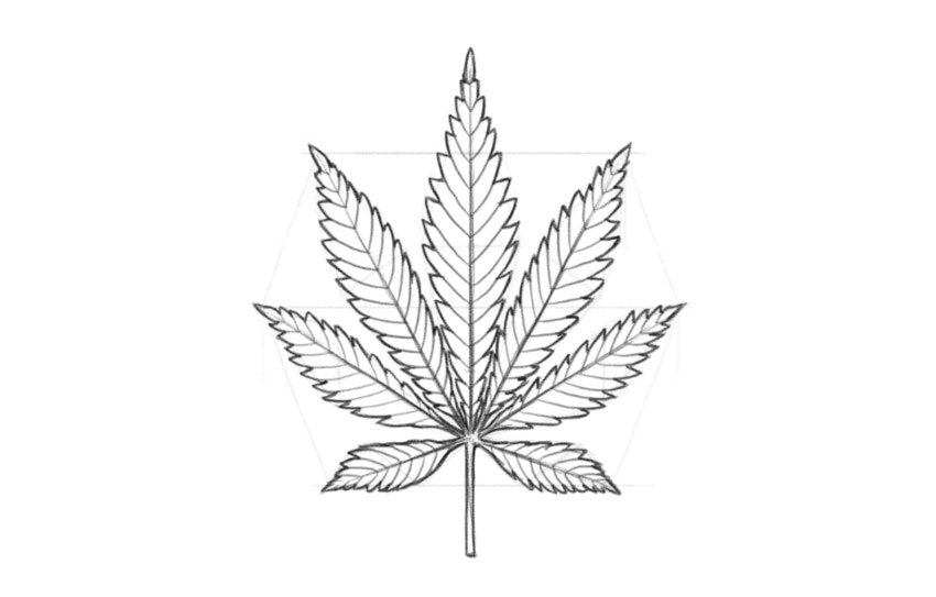 как нарисовать лист марихуаны