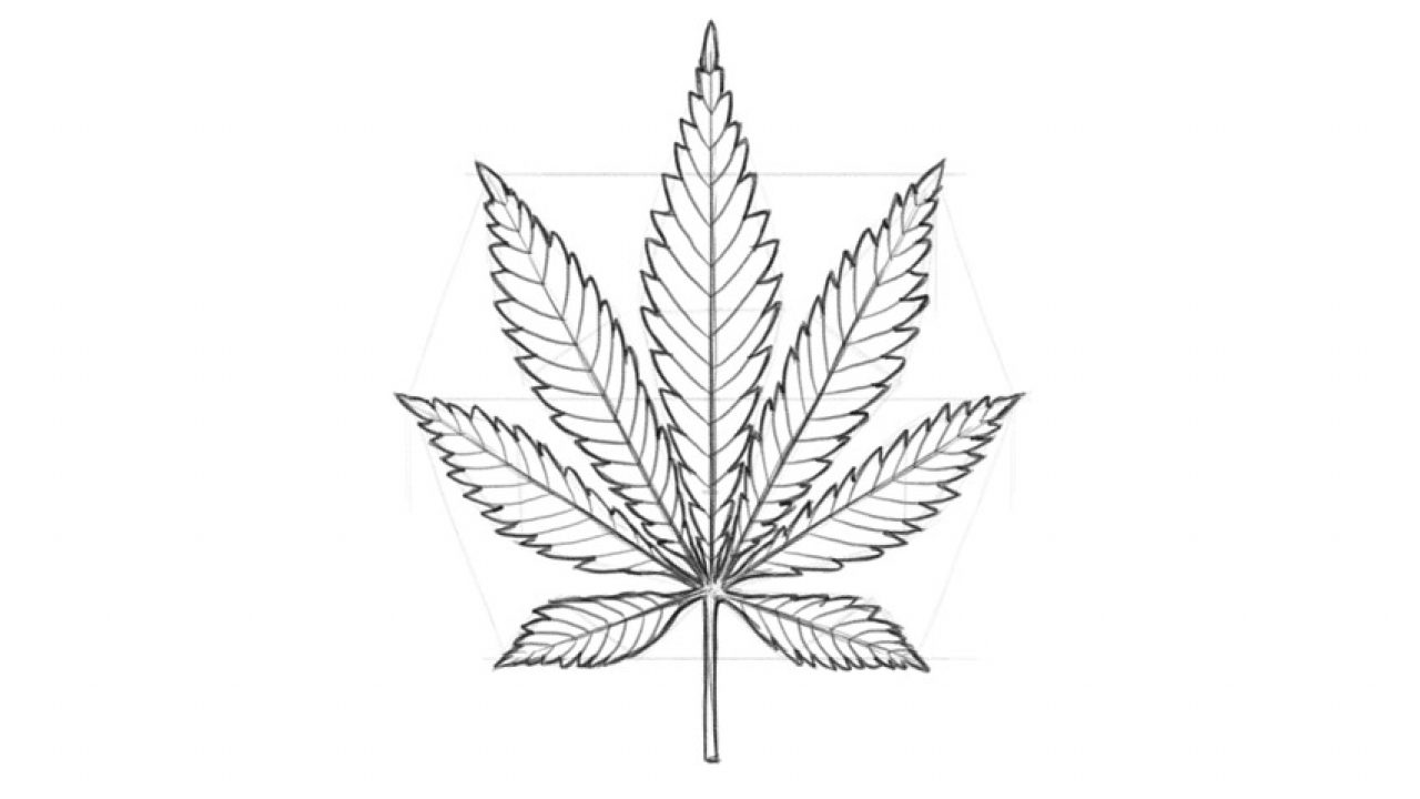 Рисунки марихуана карандашом отзывы о магазинах семян марихуаны